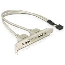 Delock Hátlapi Kivezetés - 71000 (1x belső USB 9tűs > 2x USB2.0 külső)